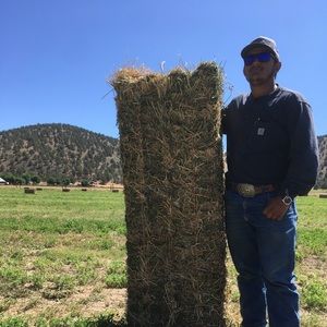 Meet your Posher, Gerardo